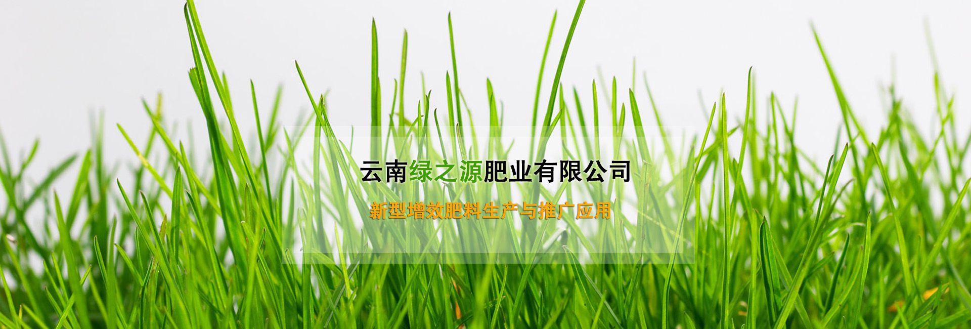 云南VWIN线上国际娱乐场肥业有限公司广告banner1